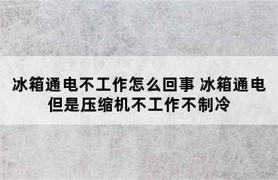 冰箱通电不工作怎么回事 冰箱通电但是压缩机不工作不制冷